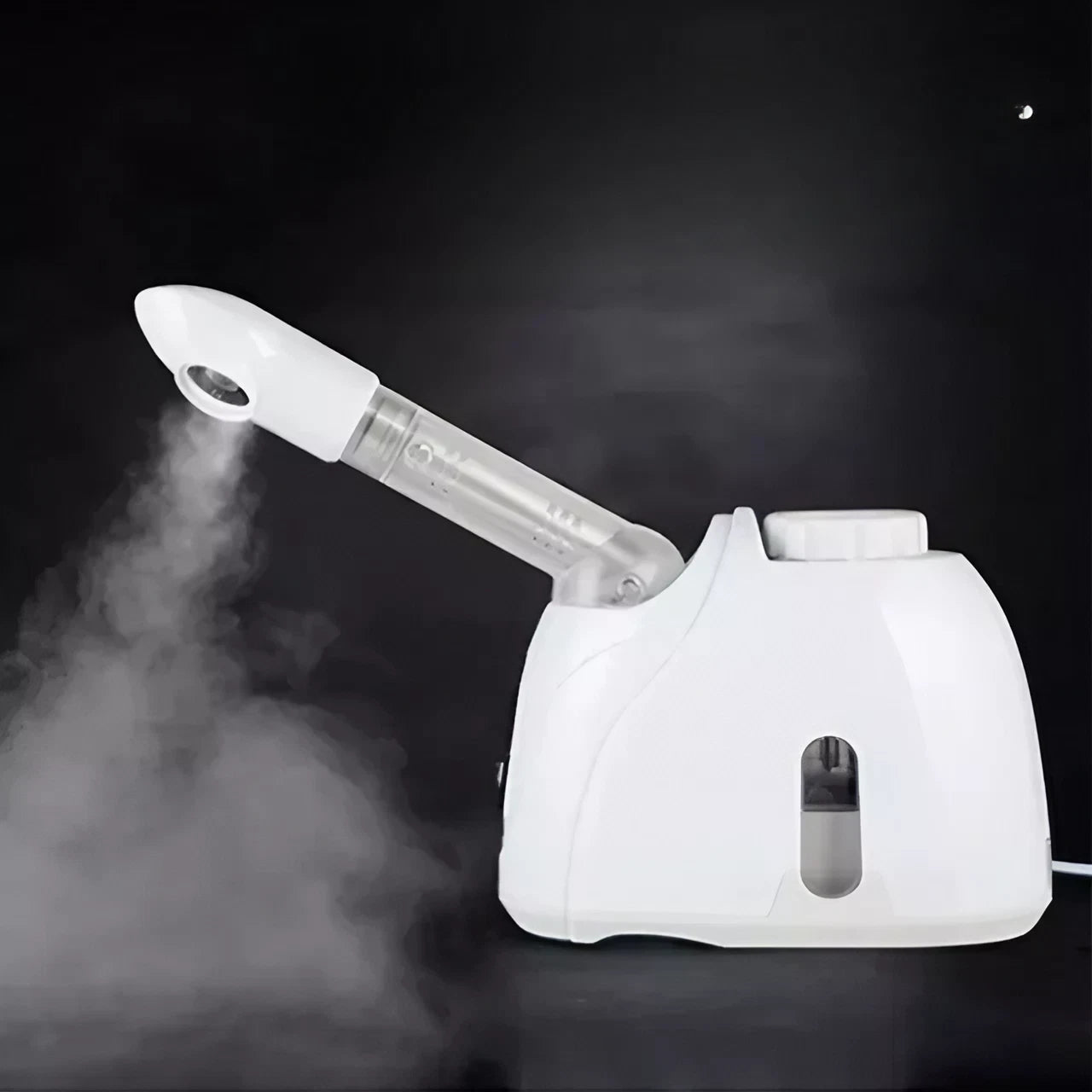 Ozone Facial Steamer Warm Mist Humidifier